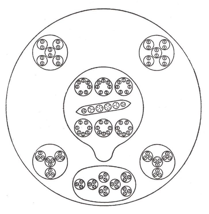 Planche 3 – Azote N (Nitrogène)