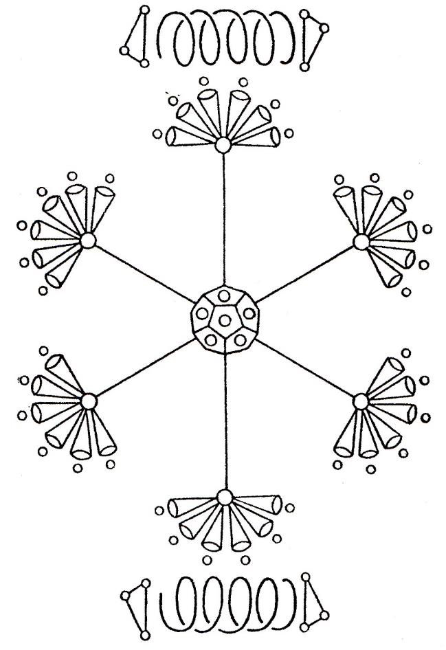 Planche 32 – Hydroquinone C6H4(OH)2