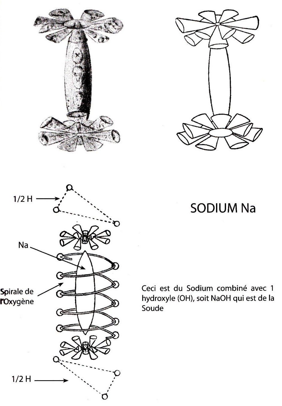 Planche 53 – Sodium Na