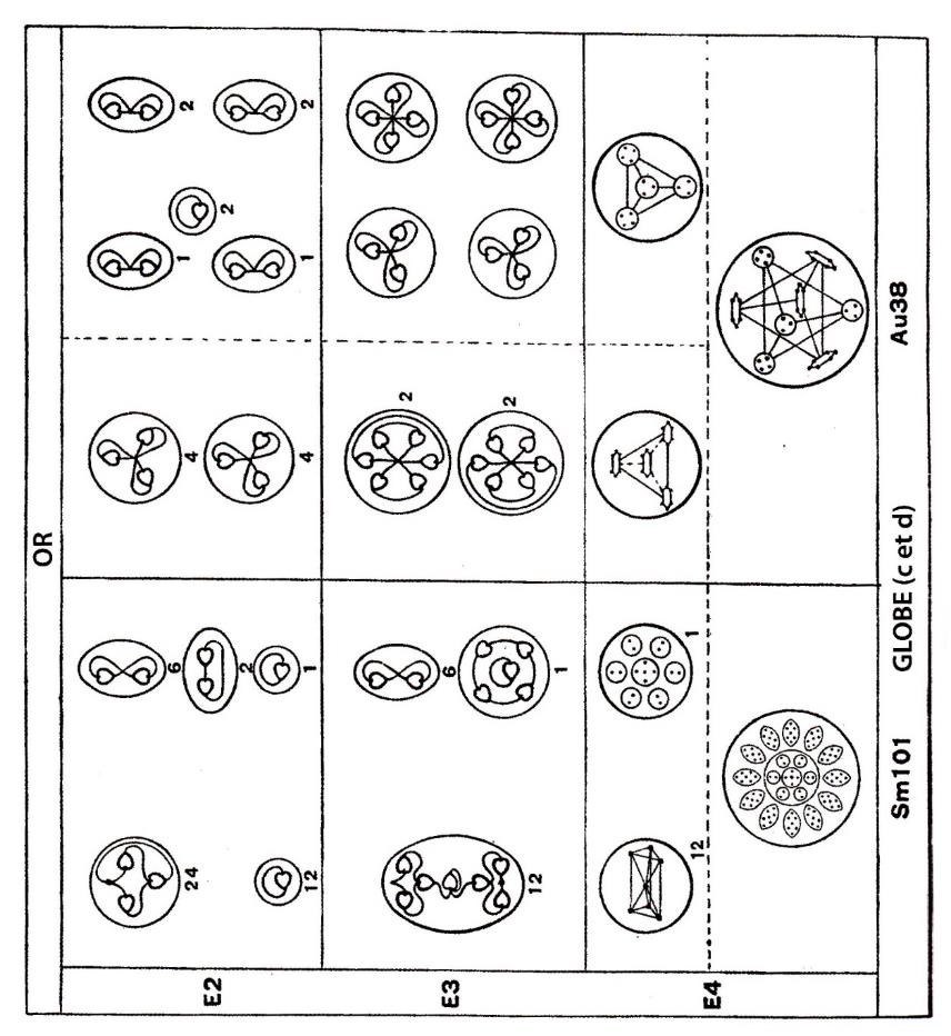 Planche 90 – Dissociation des globes de l'Or
