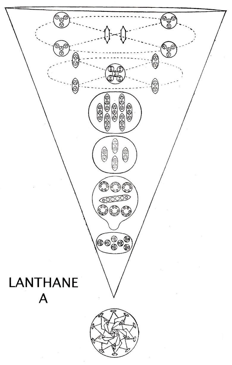 Planche 131 – Lanthane A La