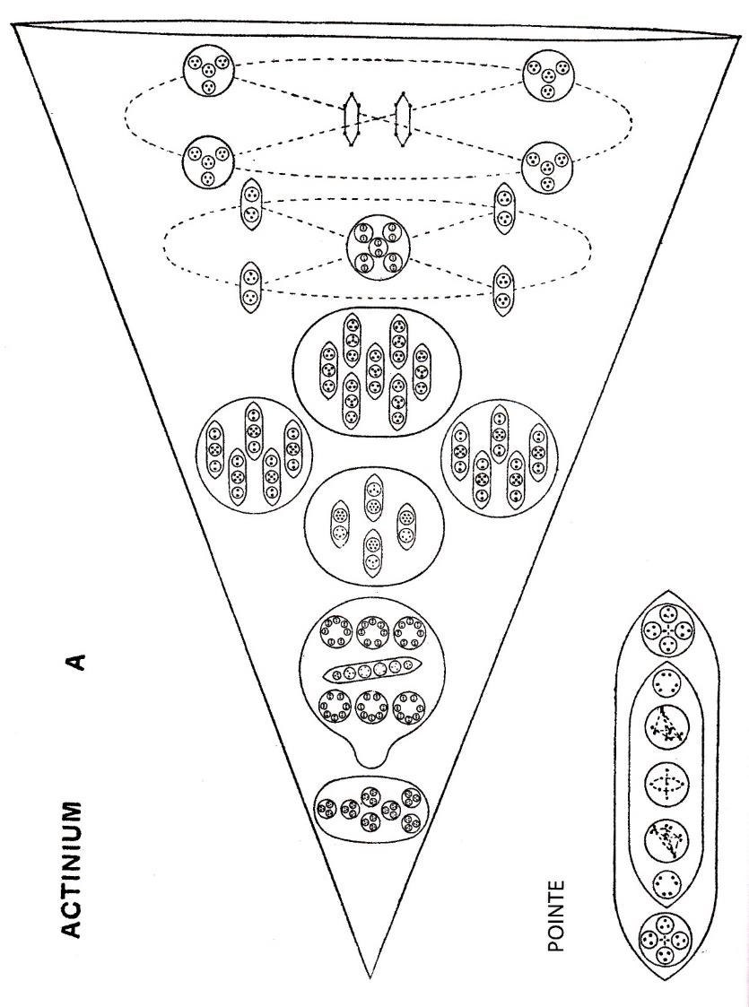 Planche 137 – Actinium A Ac