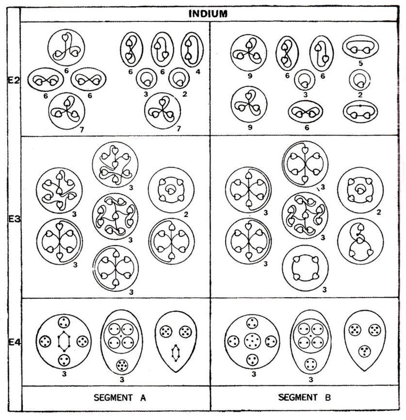 Planche 144 – Dissociation de l'Indium In