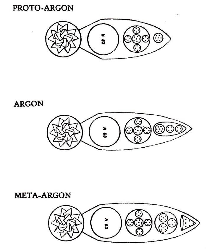 Planche 188 – Proto-Argon, Argon Ar, Méta-Argon