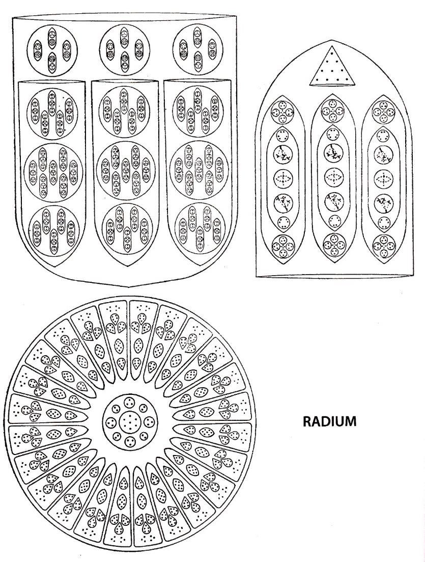 Planche 193 – Radium Ra