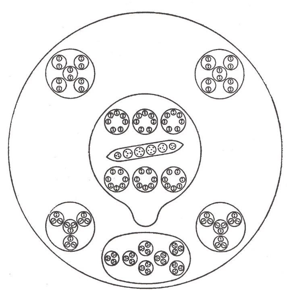 Planche 3 – Azote N (Nitrogène)