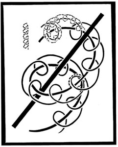 Planche 45 – Enroulements toroïdaux des spirilles de 2ème et 3ème ni-