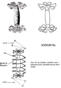 Planche 53 – Sodium Na