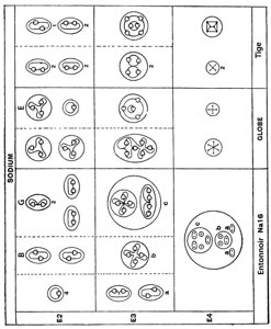 Planche 86 – Dissociation de l'atome de Sodium Na