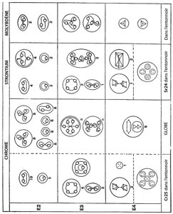 Planche 115 – Dissociation du Chrome, du Strontium, du Molybdène