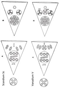 Planche 120 – Scandium Sc et Vanadium V
