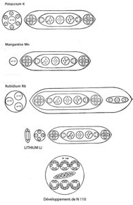 Planche 170 – Potassium K, Manganèse Mn, Rubidium Rb, Lithium Li et