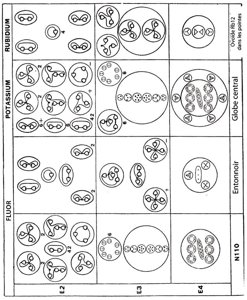 Planche 185 – Dissociation du Fluor F, Potassium K, Rubidium Rb