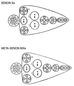 Planche 190 – Xénon Xe et Méta-Xénon MXe