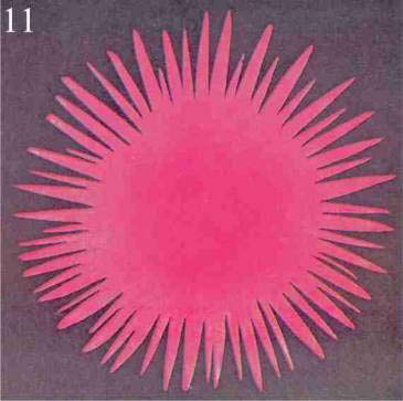Figure 11 – Affection rayonnante
