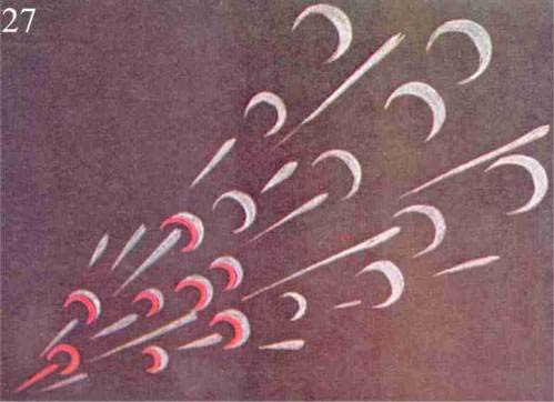 Figure 27 – Frayeur soudaine