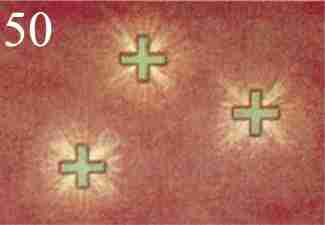 Figure 50 – Pensées de secours