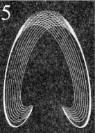 Figure 5 – Dessins résultant d'oscillations de pendules