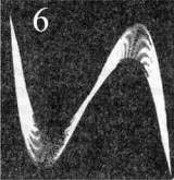 Figure 6 – Dessins résultant d'oscillations de pendules