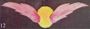 Figure 12 – Paix et secours