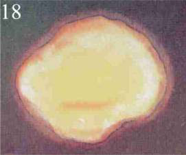 Figure 18 – Vague plaisir intellectuel