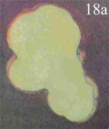 Figure 18 – Vague plaisir intellectuel