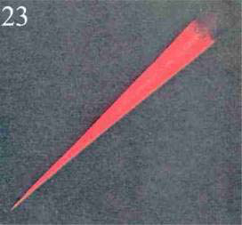 Figure 23 – Rage meurtrière et colère persistante