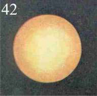 Figure 42 – Le logos pénétrant tout