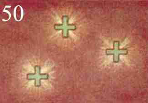 Figure 50 – Pensées de secours