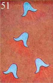 Figure 51 – Pensées de secours