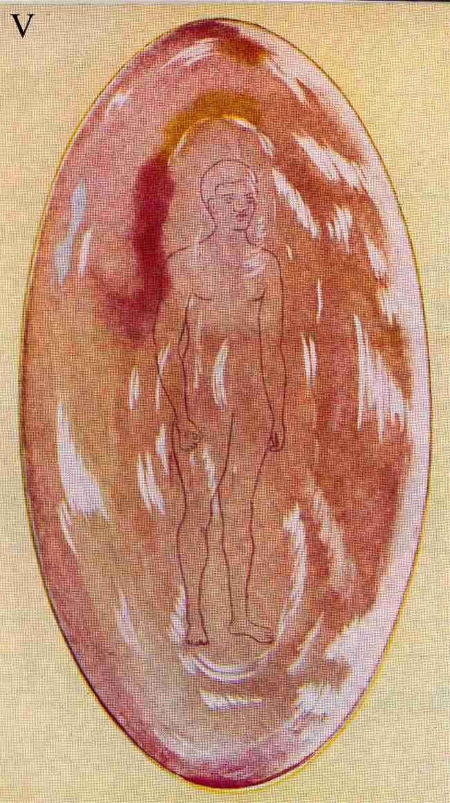 Figure 5 – Corps causal d'un homme primitif