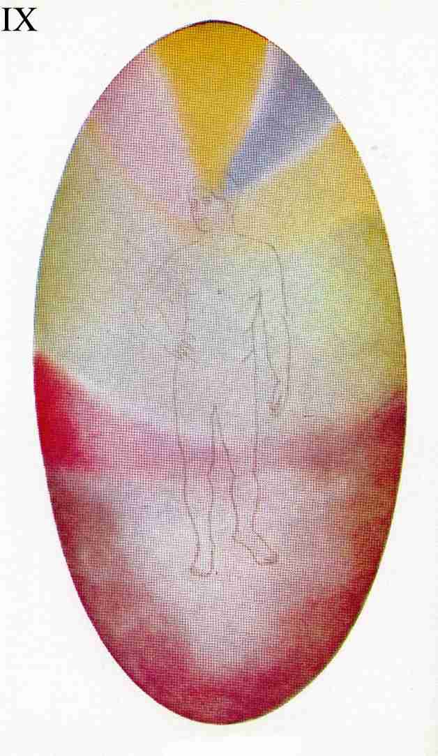 Figure 9 – Corps mental d'un homme ordinaire