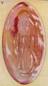 Figure 5 – Corps causal d'un homme primitif