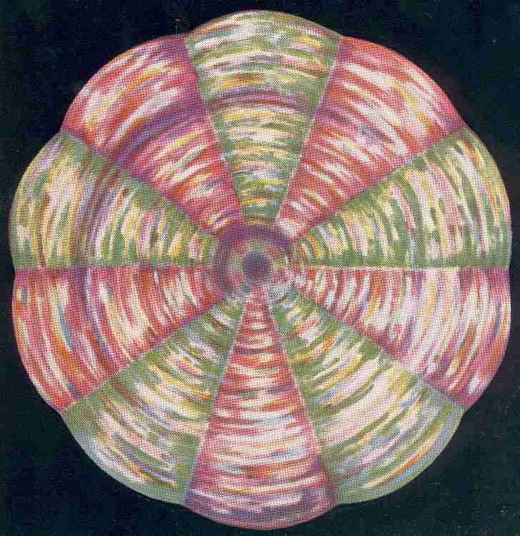 FIGURE. 5. – LE CHAKRA OMBILICAL