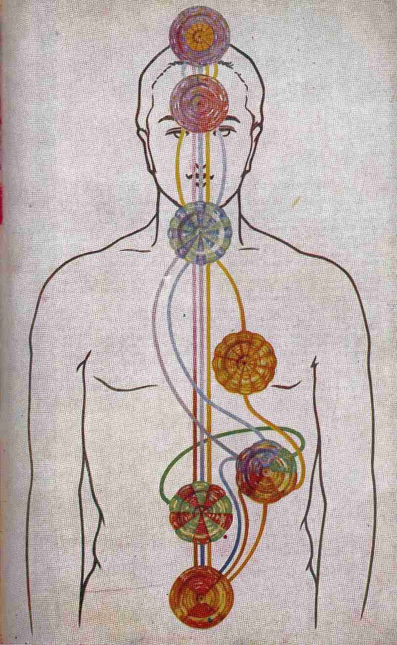 FIGURE. 5B. – LES COURANTS DE VITALITE