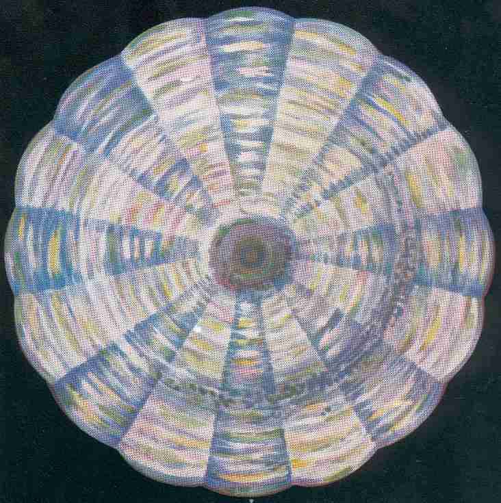 FIGURE. 7. – LE CHAKRA DE LA GORGE