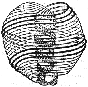 FIGURE. 17. – L'ATOME PHYSIQUE ULTIME