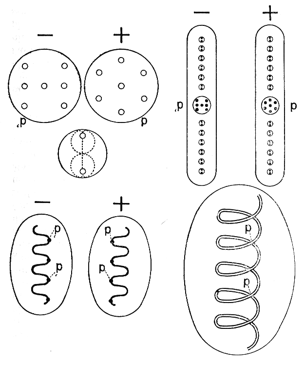 FIGURE. 18. – COMPOSITION DE L'OXYGÈNE