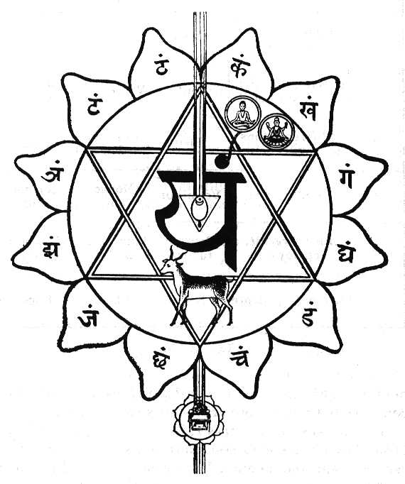 FIGURE. 20. – LE CHAKRA DU CŒUR : SCHÉMA HINDOU