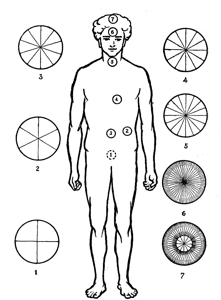FIGURE. 1. – L'EMPLACEMENT DES CHAKRAS