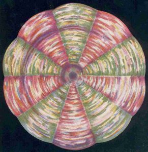 FIGURE. 5. – LE CHAKRA OMBILICAL