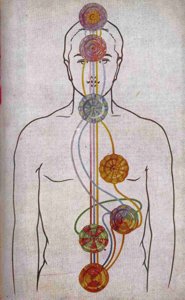 FIGURE. 5B. – LES COURANTS DE VITALITE
