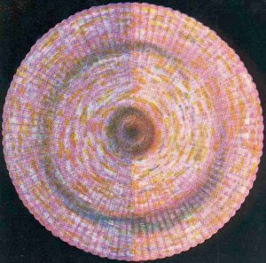 FIGURE. 9. – LE CHAKRA DU FRONT