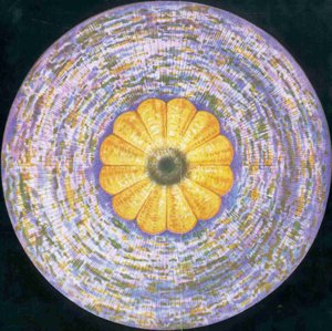 FIGURE. 10 – LE CHAKRA DU SOMMET DE LA TETE, OU CORONAL