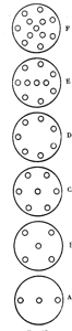 FIGURE. 15. – LES FORMES DES FORCES