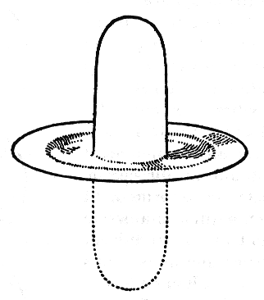 FIGURE. 16. – FORME COMBINÉE DES FORCES