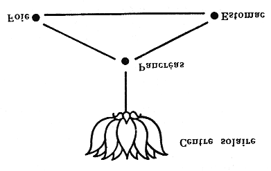 Figure 300
