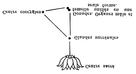une autre combinaison se fera jour.