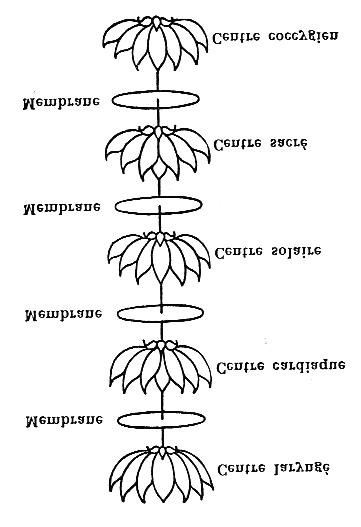 Figure 304