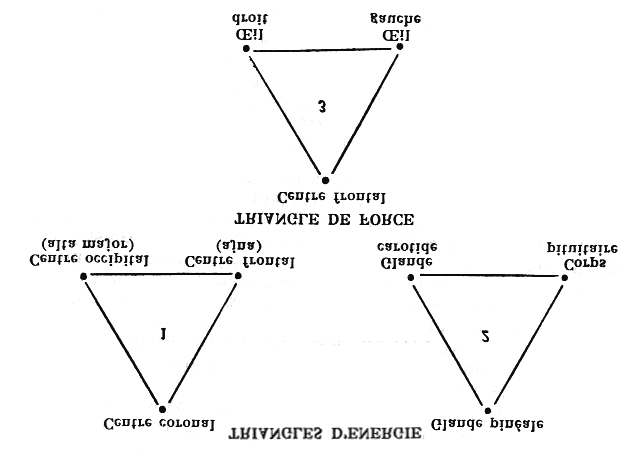 Lorsque les trois centres céphaliques sont reliés, que le champ magnétique est ainsi établi, et que le rayonnement existe, les guérisseurs devraient se souvenir qu'ils peuvent utiliser le centre frontal comme agent directeur de ce rayonnement dissipateur